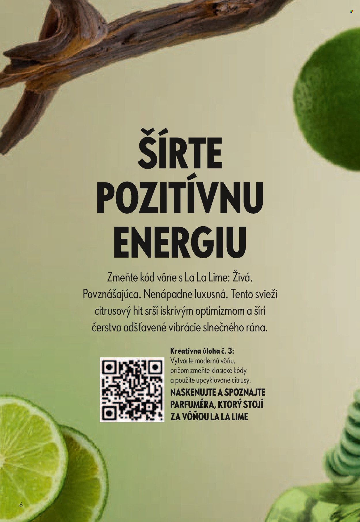 ORIFLAME leták - Katalóg 11
