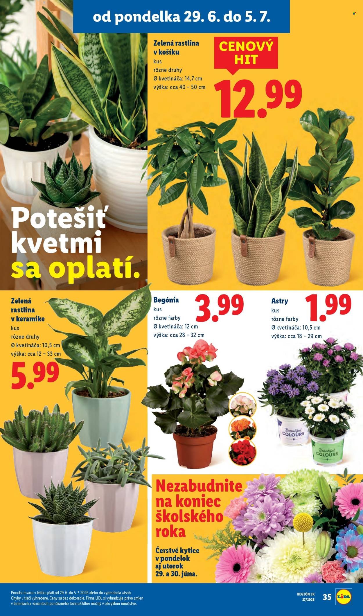 LIDL leták - Od pondelka 29.6.2026