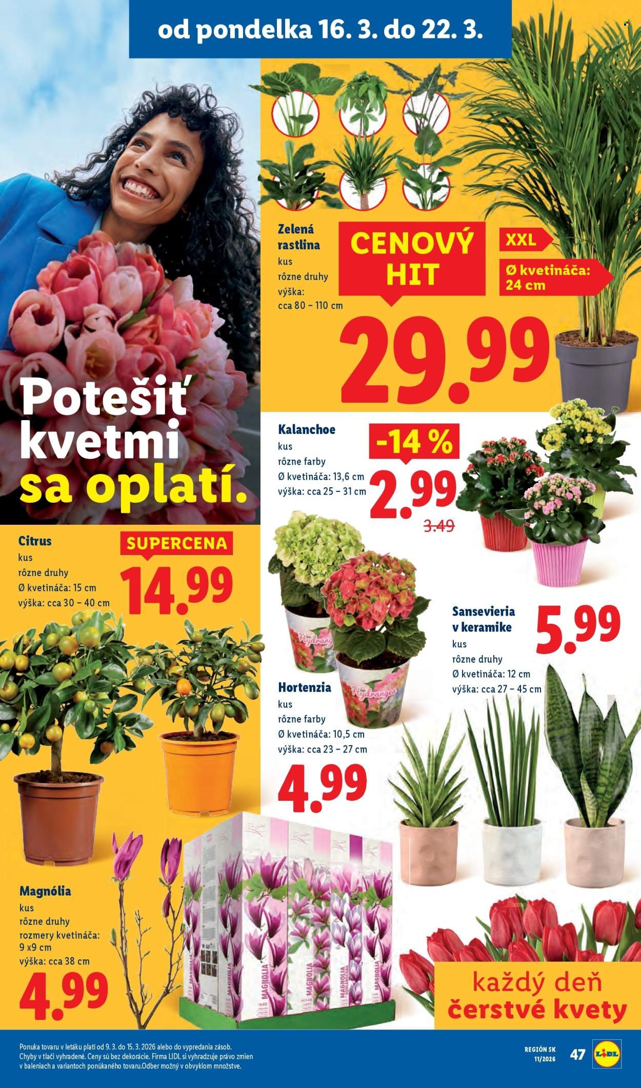 LIDL leták - Od štvrtka 19.3.2026 (2026-03-19 - 2026-03-22) | 90