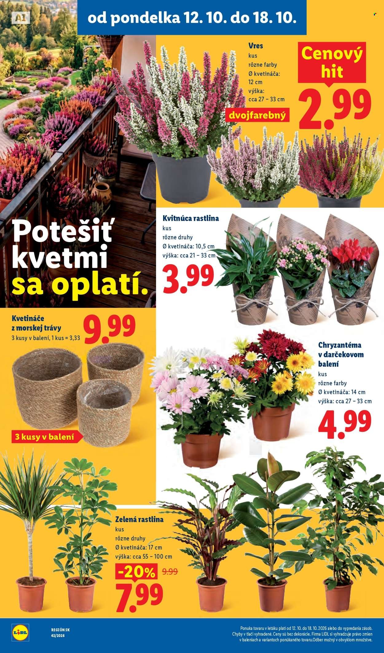 LIDL leták - Od pondelka 12.10.2026