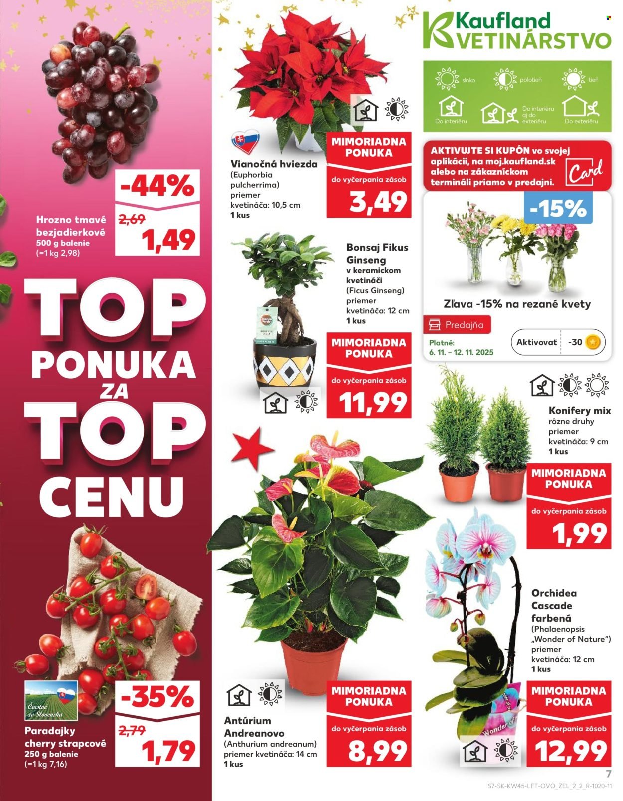 KAUFLAND leták - Od štvrtka 6.11.2025 (2025-11-06 - 2025-11-12) | 7