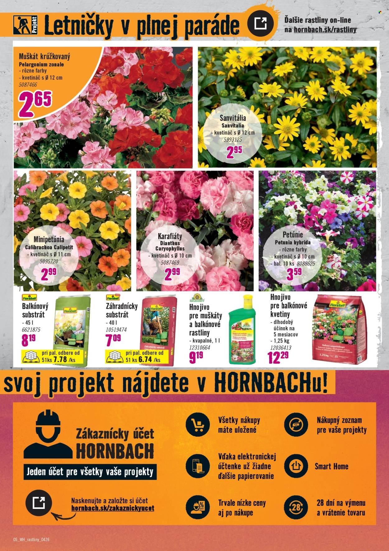 HORNBACH leták - Váš ďalší projekt - Sezónne rastliny (2026-04-01 - 2026-04-14) | 5