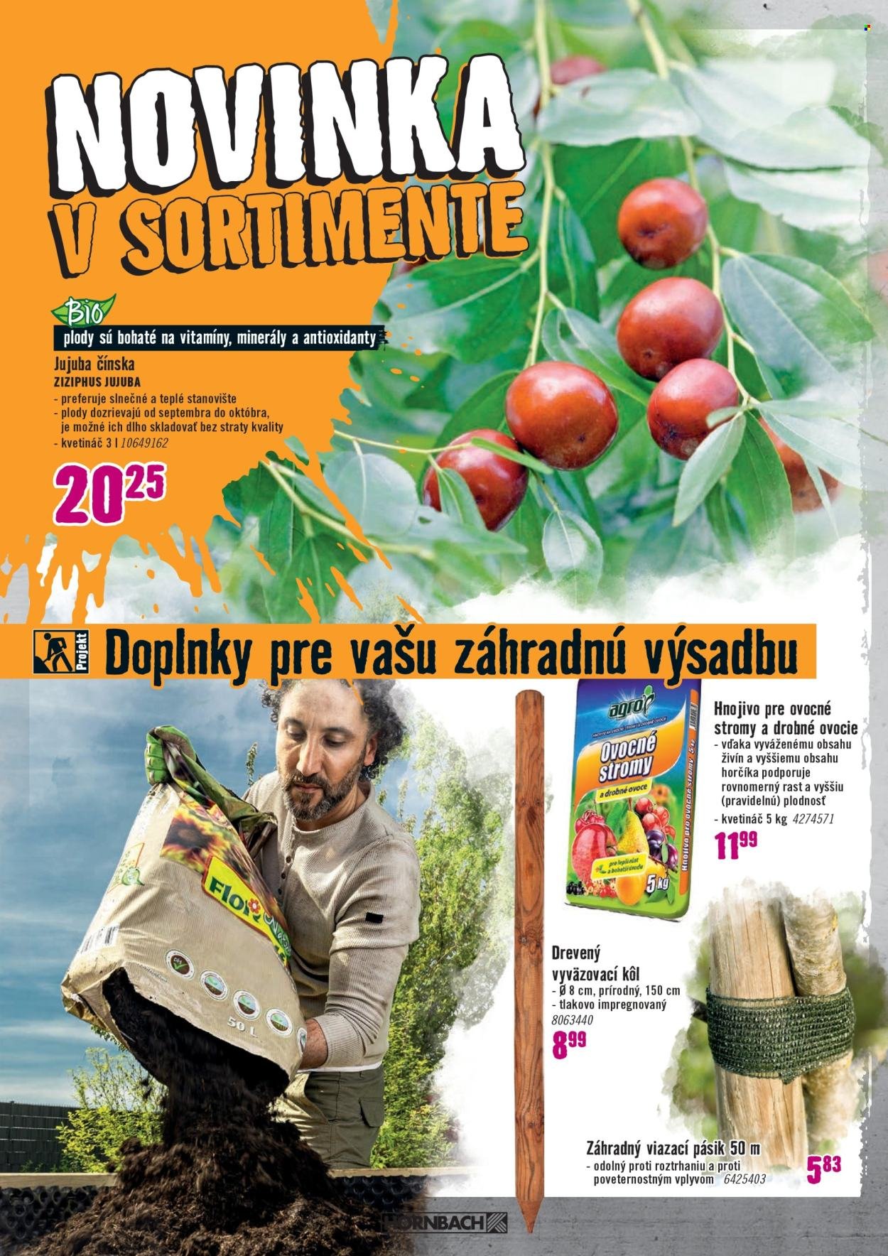 HORNBACH leták - Váš ďalší projekt - Sezónne rastliny (2026-04-01 - 2026-04-14) | 8