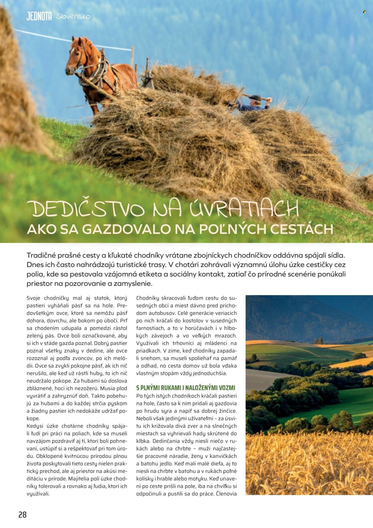 COOP JEDNOTA leták - Od pondelka 1.6.2026