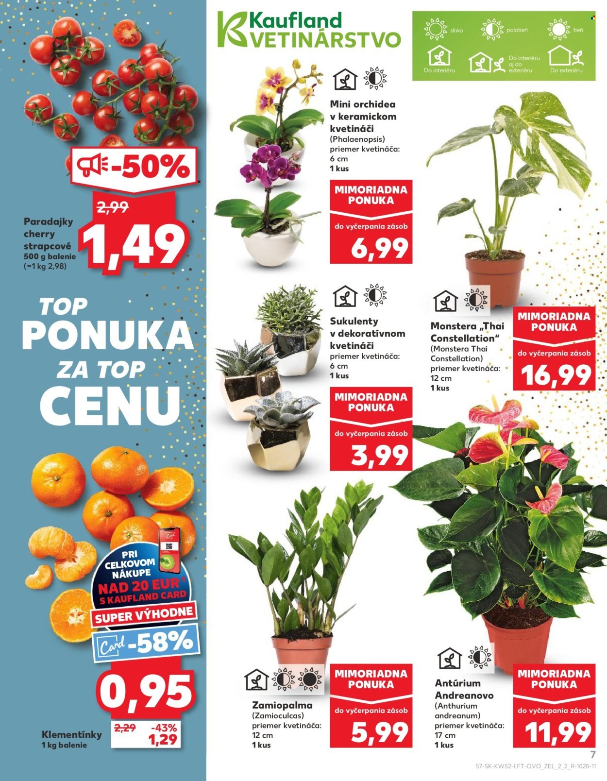 KAUFLAND leták - Od soboty 27.12.2025 (2025-12-27 - 2025-12-31) | 7