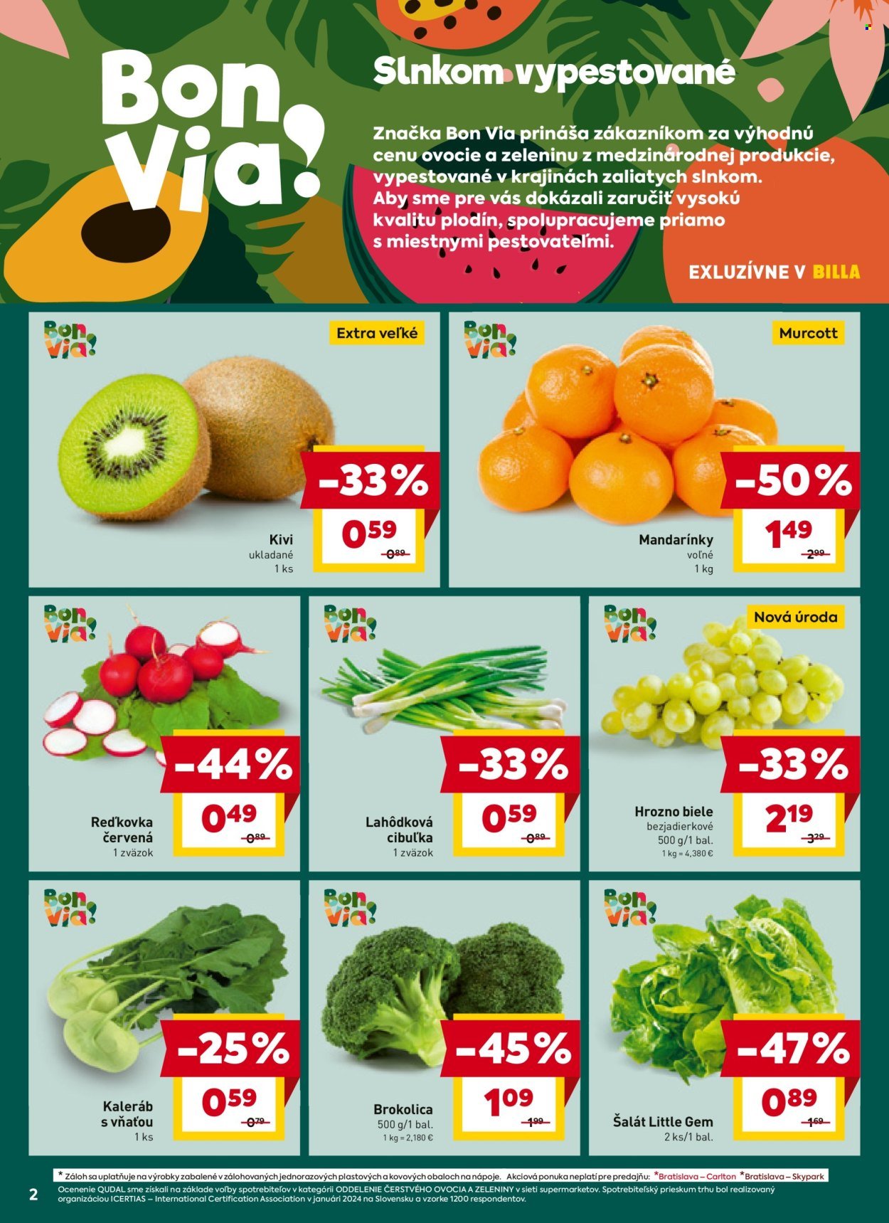 BILLA leták - Od piatka 2.1.2026 (2026-01-02 - 2026-01-06) | 2