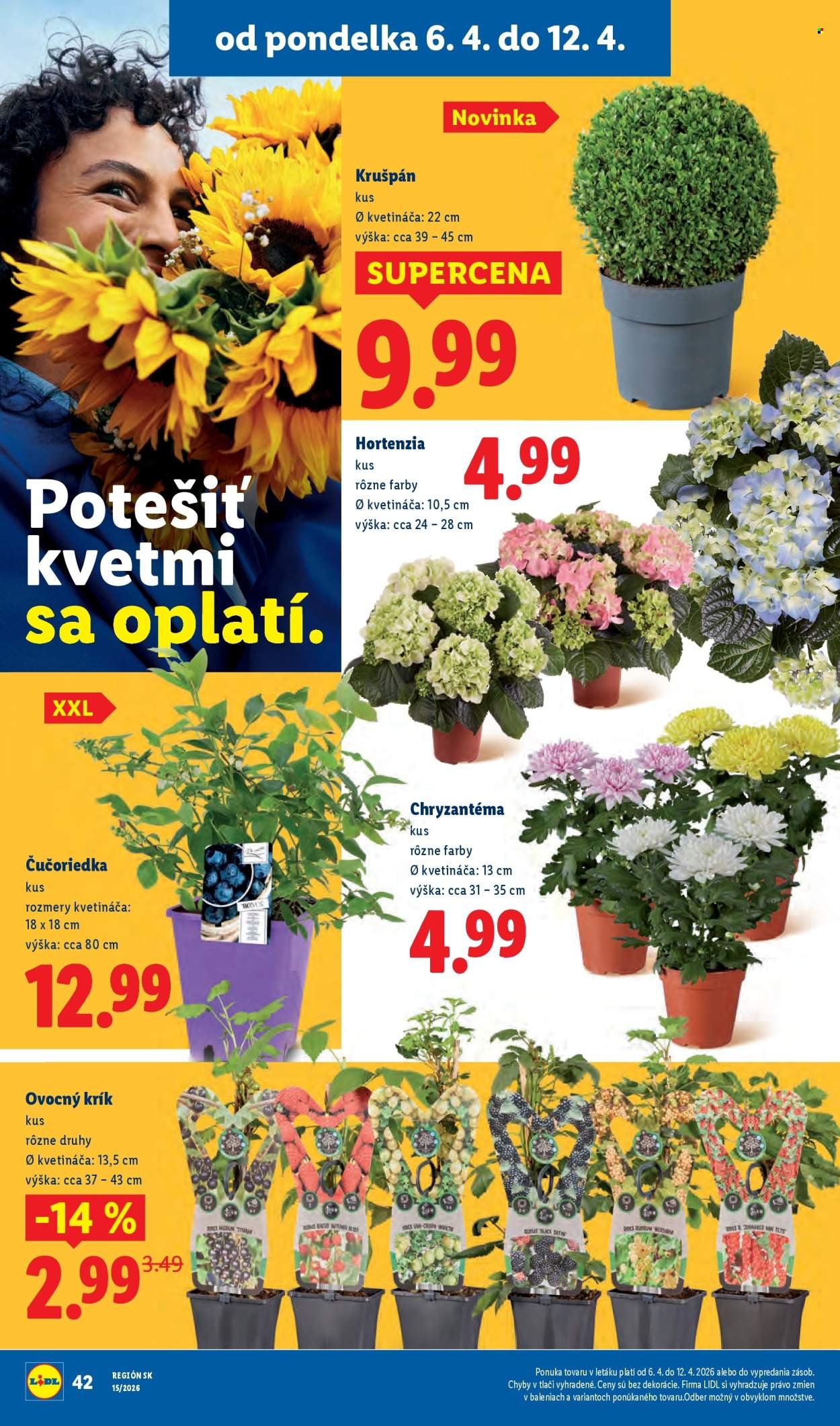 LIDL leták - Od pondelka 6.4.2026 (2026-04-06 - 2026-04-12) | 34