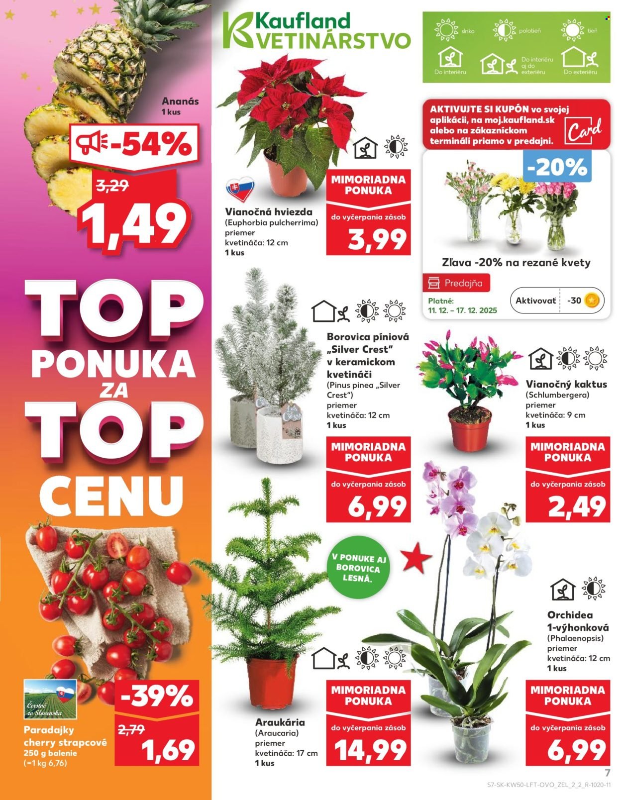 KAUFLAND leták - Od štvrtka 11.12.2025 (2025-12-11 - 2025-12-17) | 7