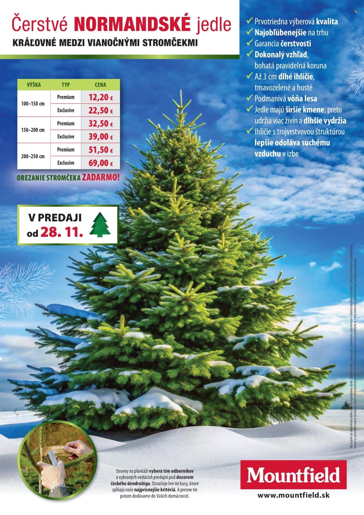 MOUNTFIELD leták - Vianoce (2025-11-29 - 2025-12-31) | 12