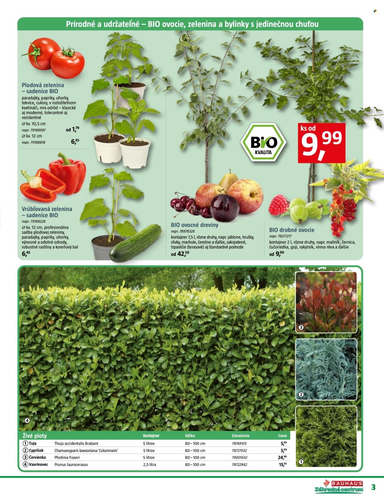 BAUHAUS leták - Záhradné centrum (2026-04-20 - 2026-05-17) | 3