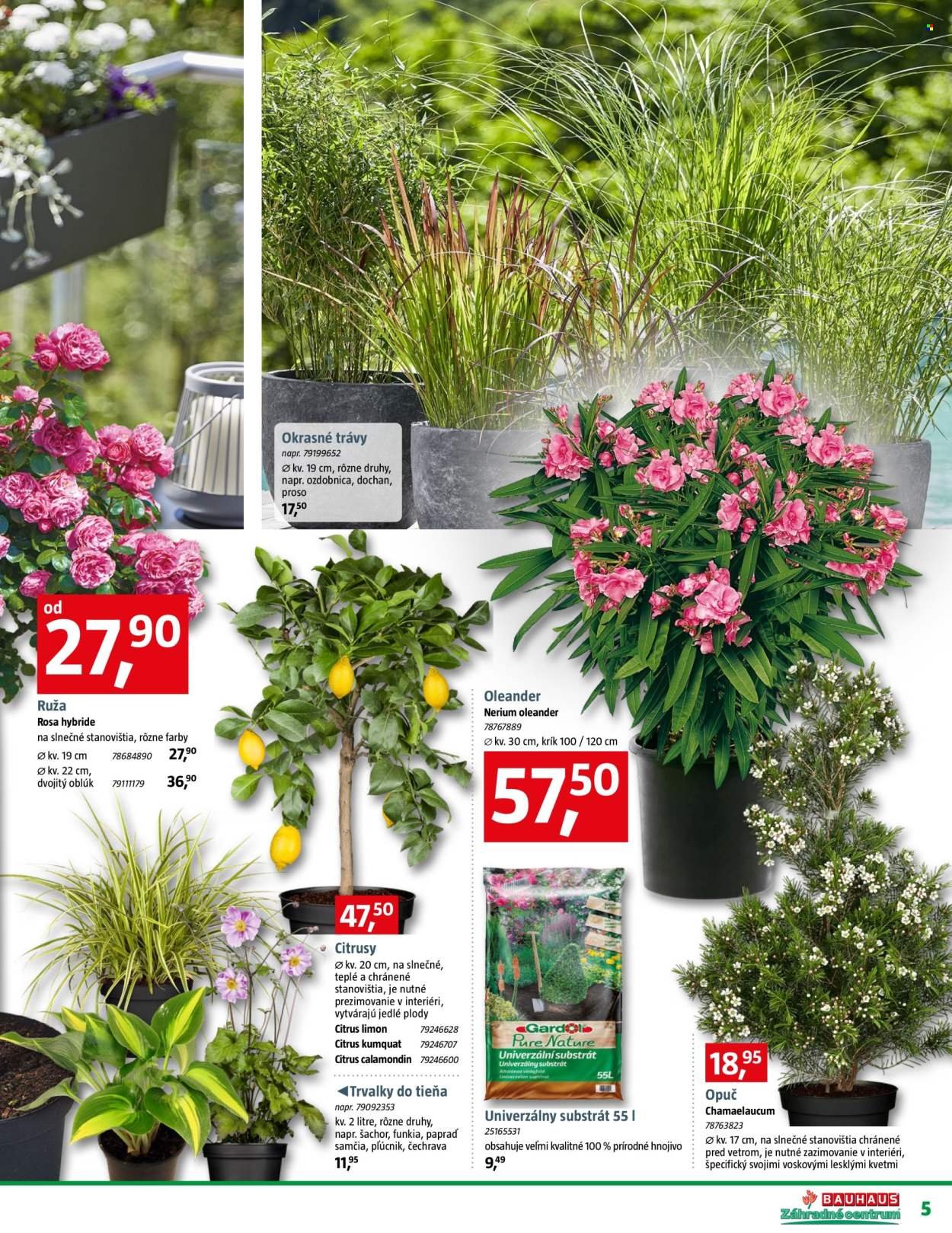 BAUHAUS leták - Záhradné centrum (2026-04-20 - 2026-05-17) | 5