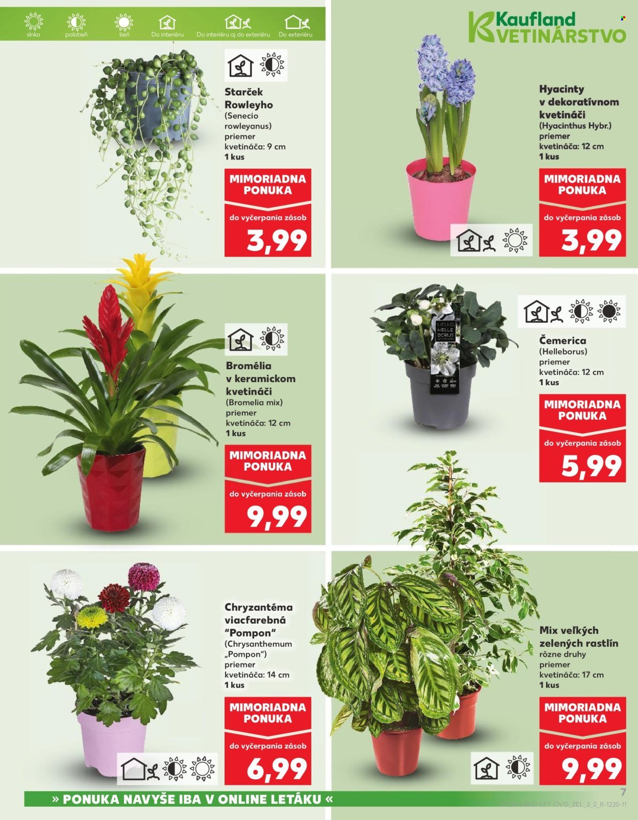 KAUFLAND leták - Od štvrtka 8.1.2026 (2026-01-08 - 2026-01-14) | 7