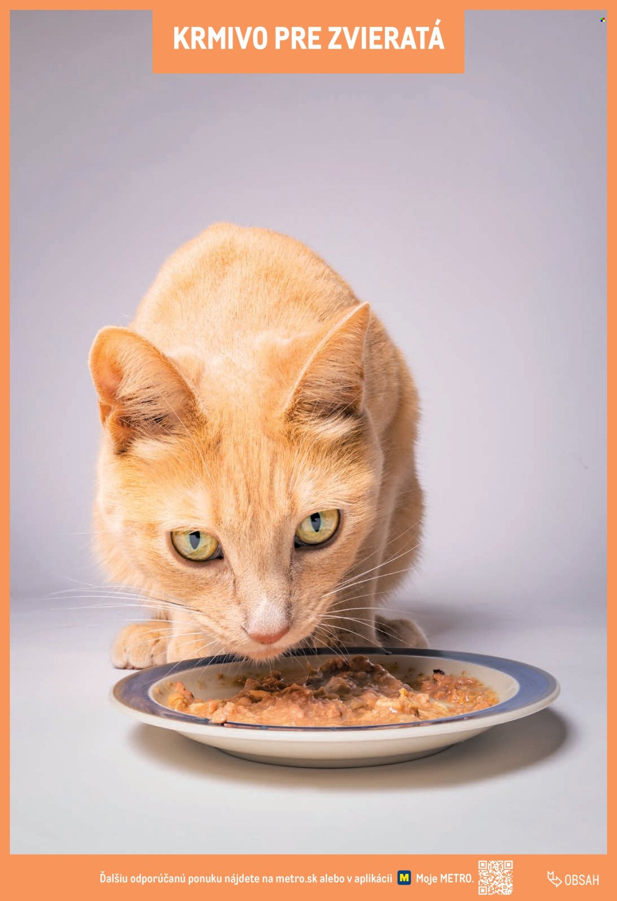 METRO leták - Katalóg vlastných značiek METRO (2025-11-22) | 219