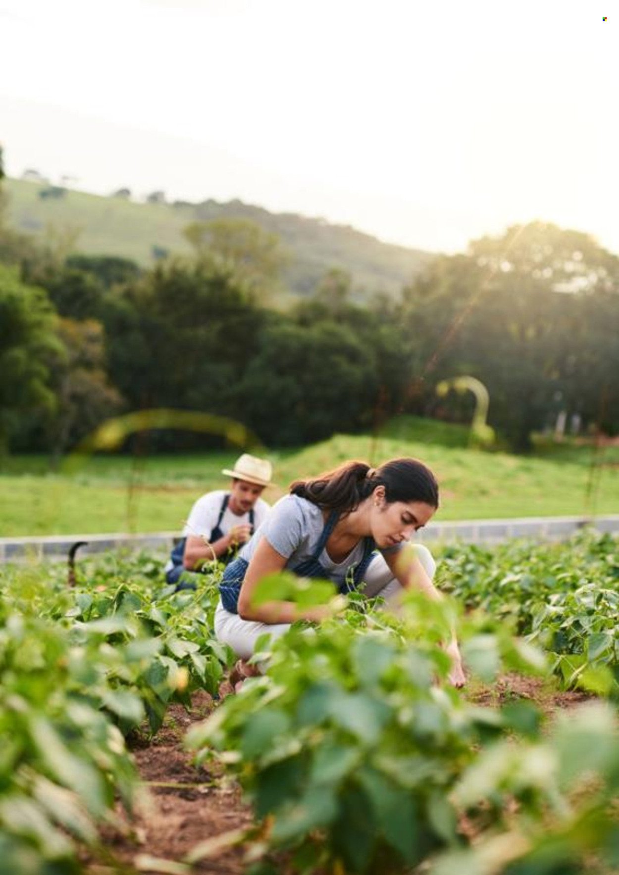 LIDL leták - Socioekonomická štúdia Lidl (2025-08-01) | 23