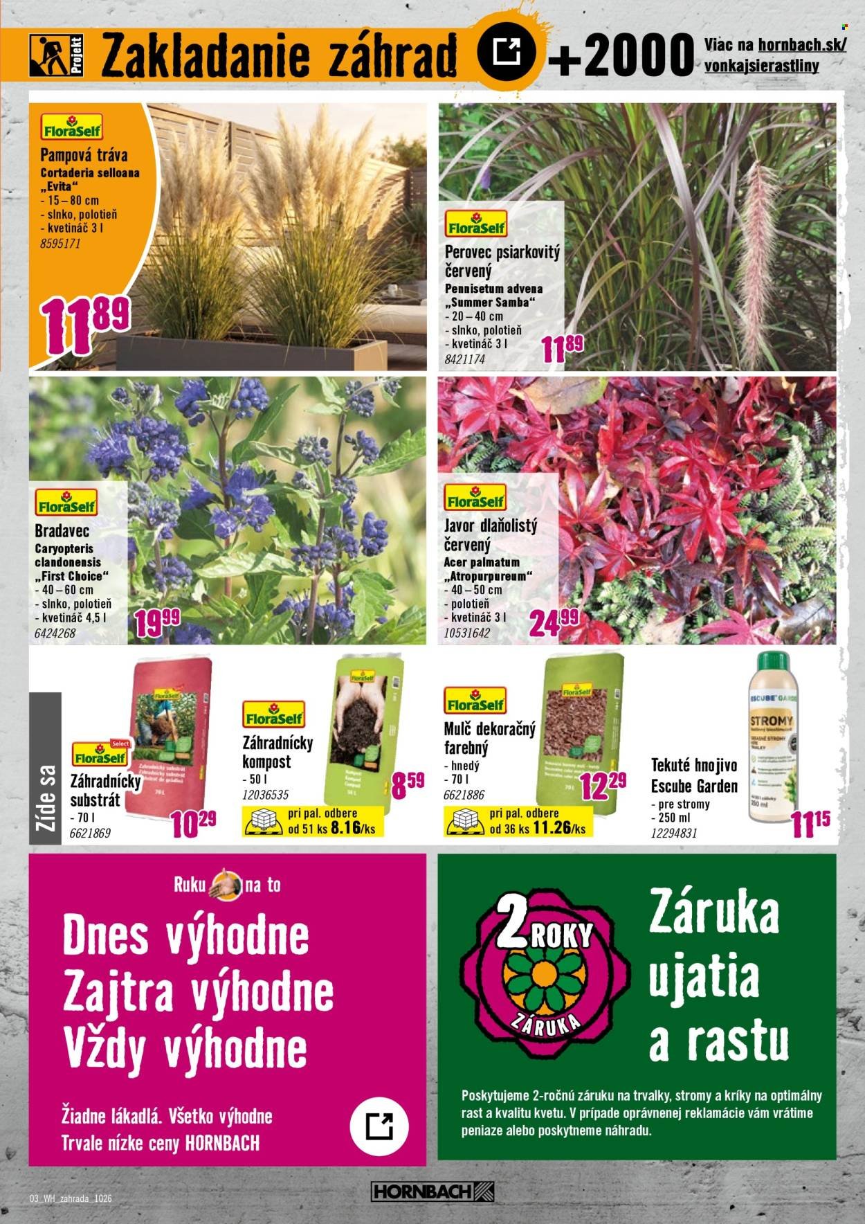 HORNBACH leták - Váš ďalší projekt - Jesenná záhrada
