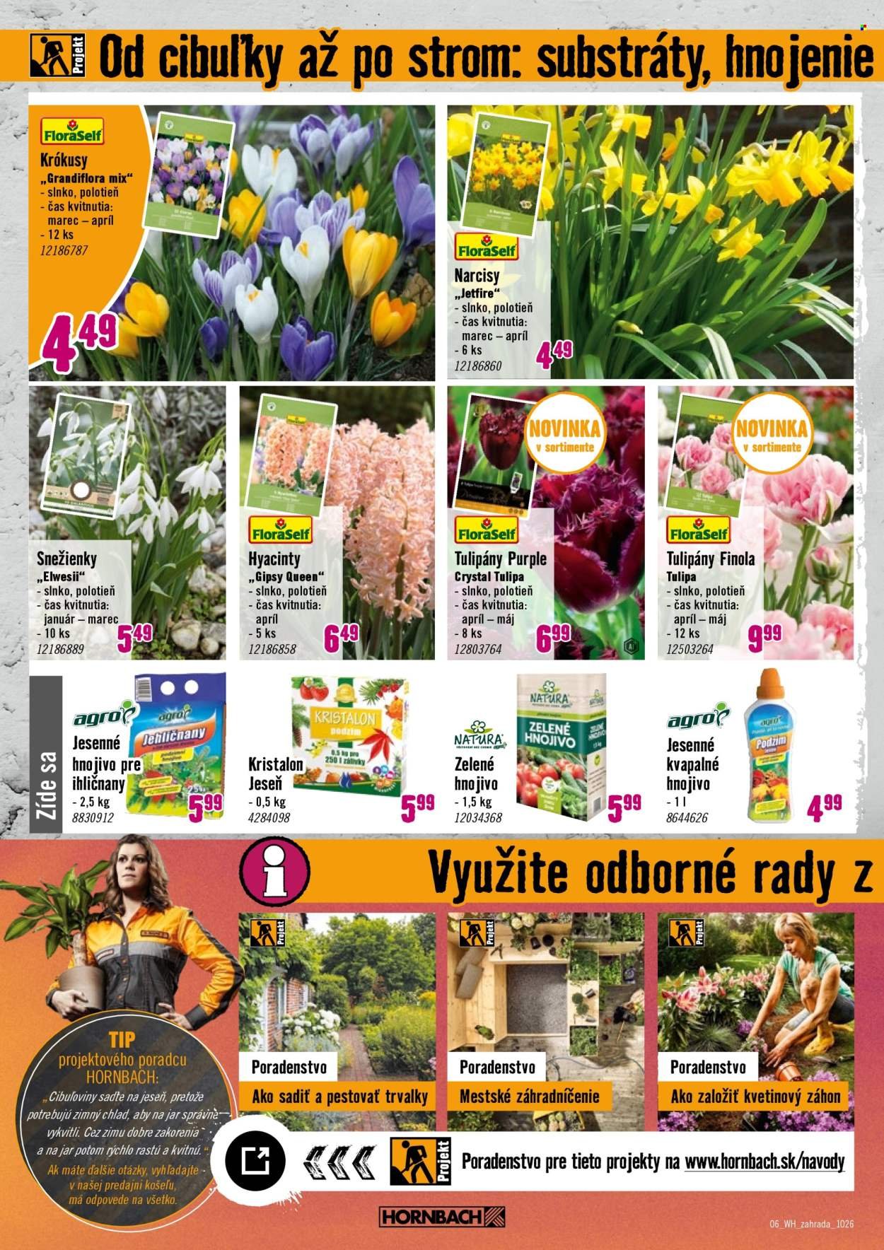 HORNBACH leták - Váš ďalší projekt - Jesenná záhrada