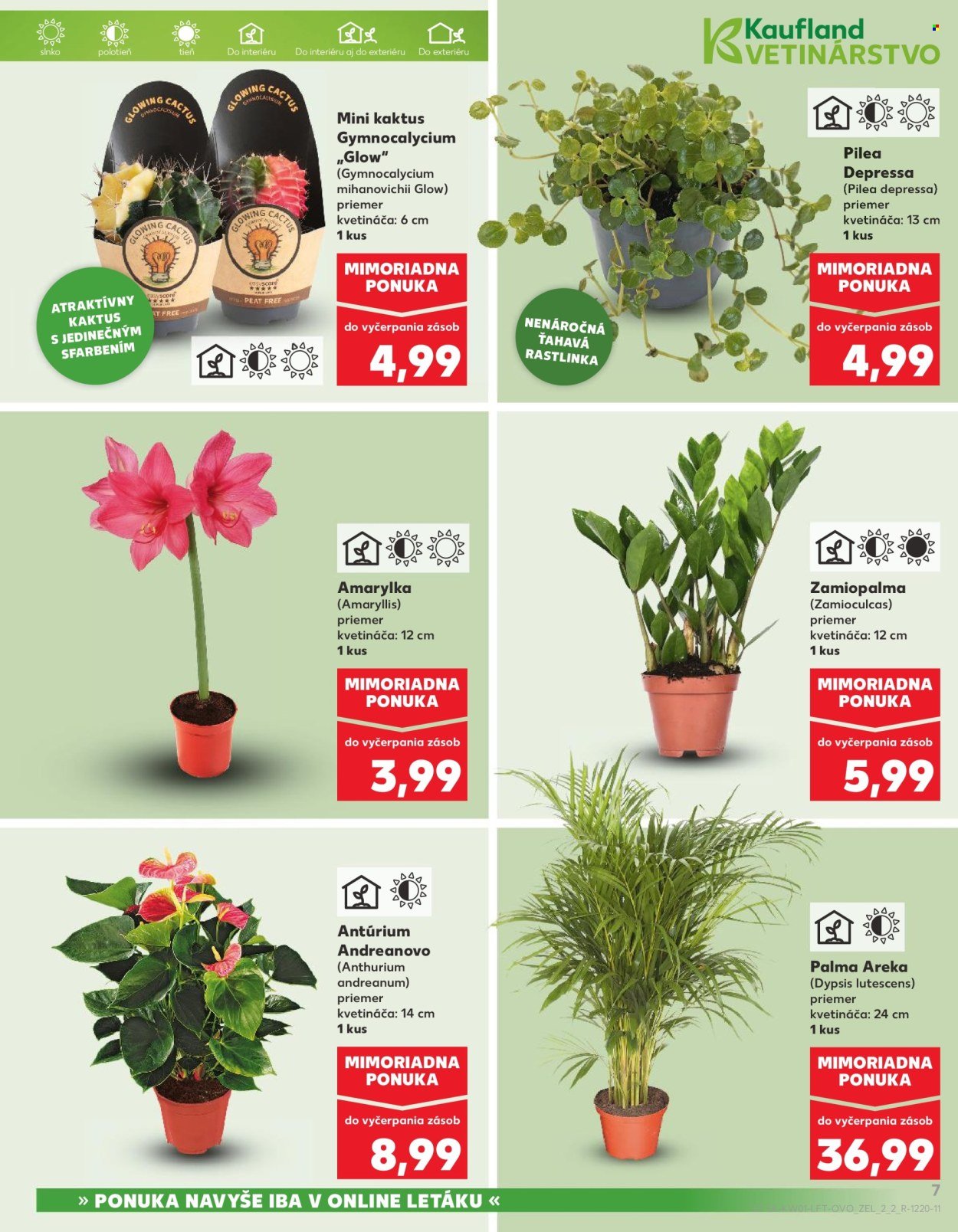 KAUFLAND leták - Od piatka 2.1.2026 (2026-01-02 - 2026-01-07) | 7