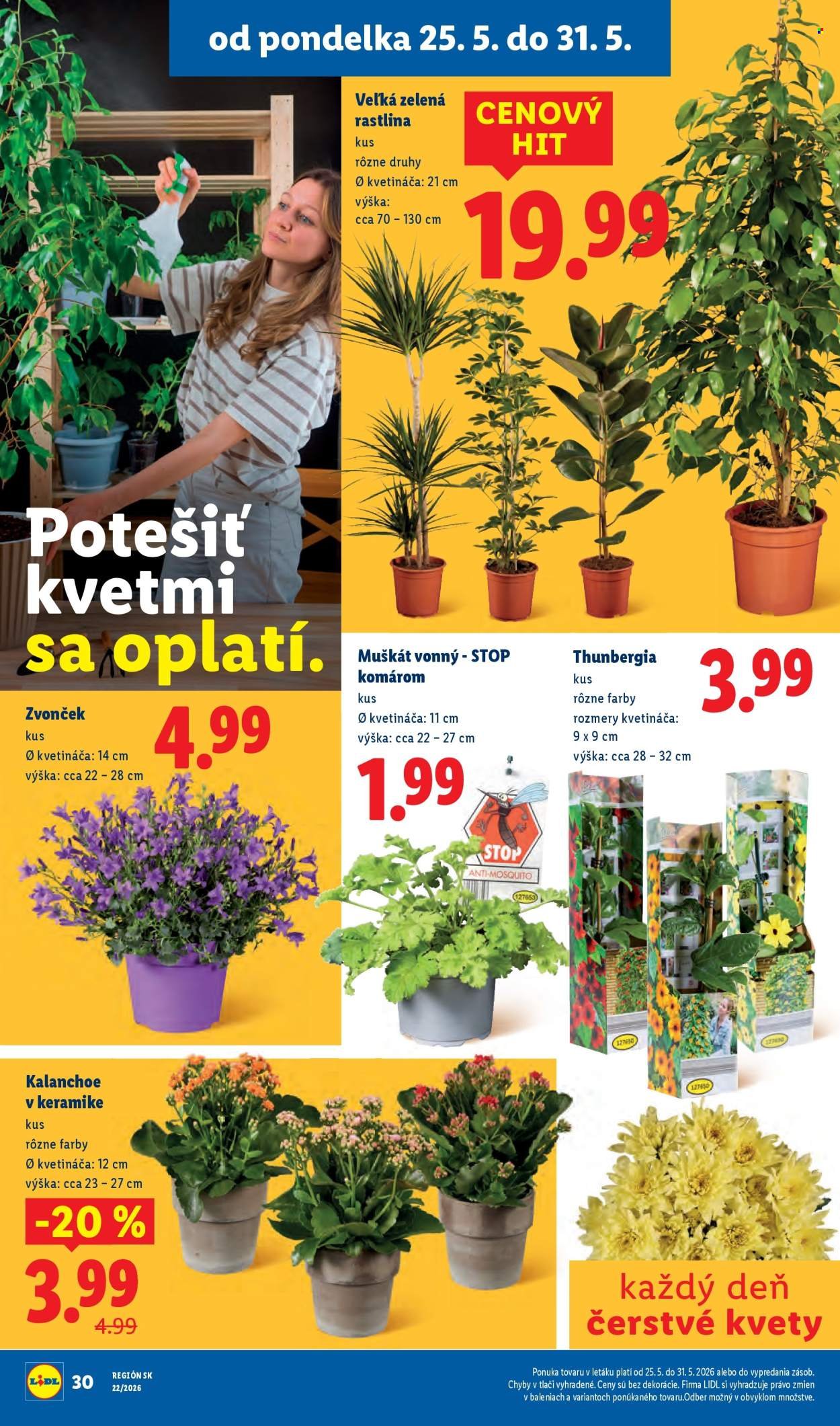 LIDL leták - Od pondelka 25.5.2026 (2026-05-25 - 2026-05-31) | 48