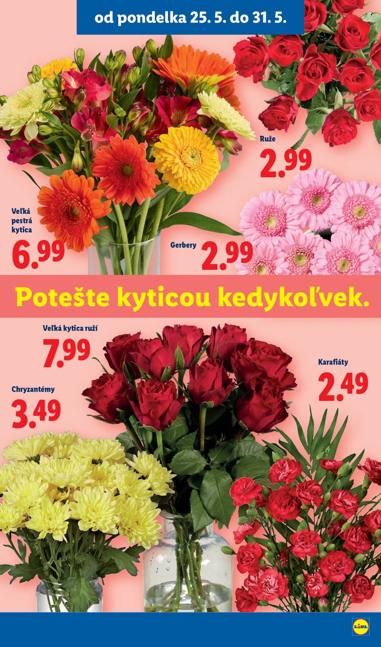LIDL leták - Od pondelka 25.5.2026 (2026-05-25 - 2026-05-31) | 49
