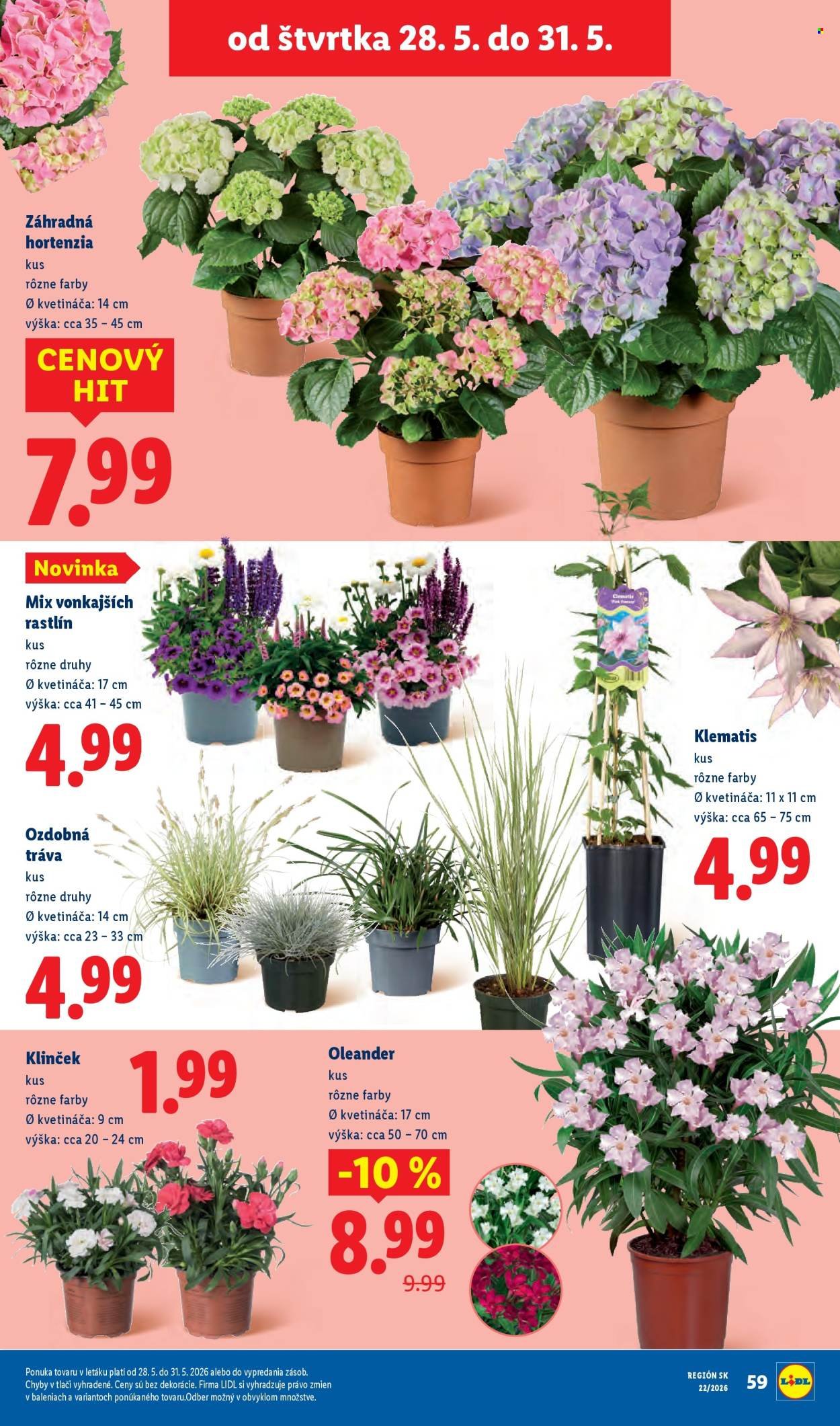 LIDL leták - Od pondelka 25.5.2026 (2026-05-25 - 2026-05-31) | 86