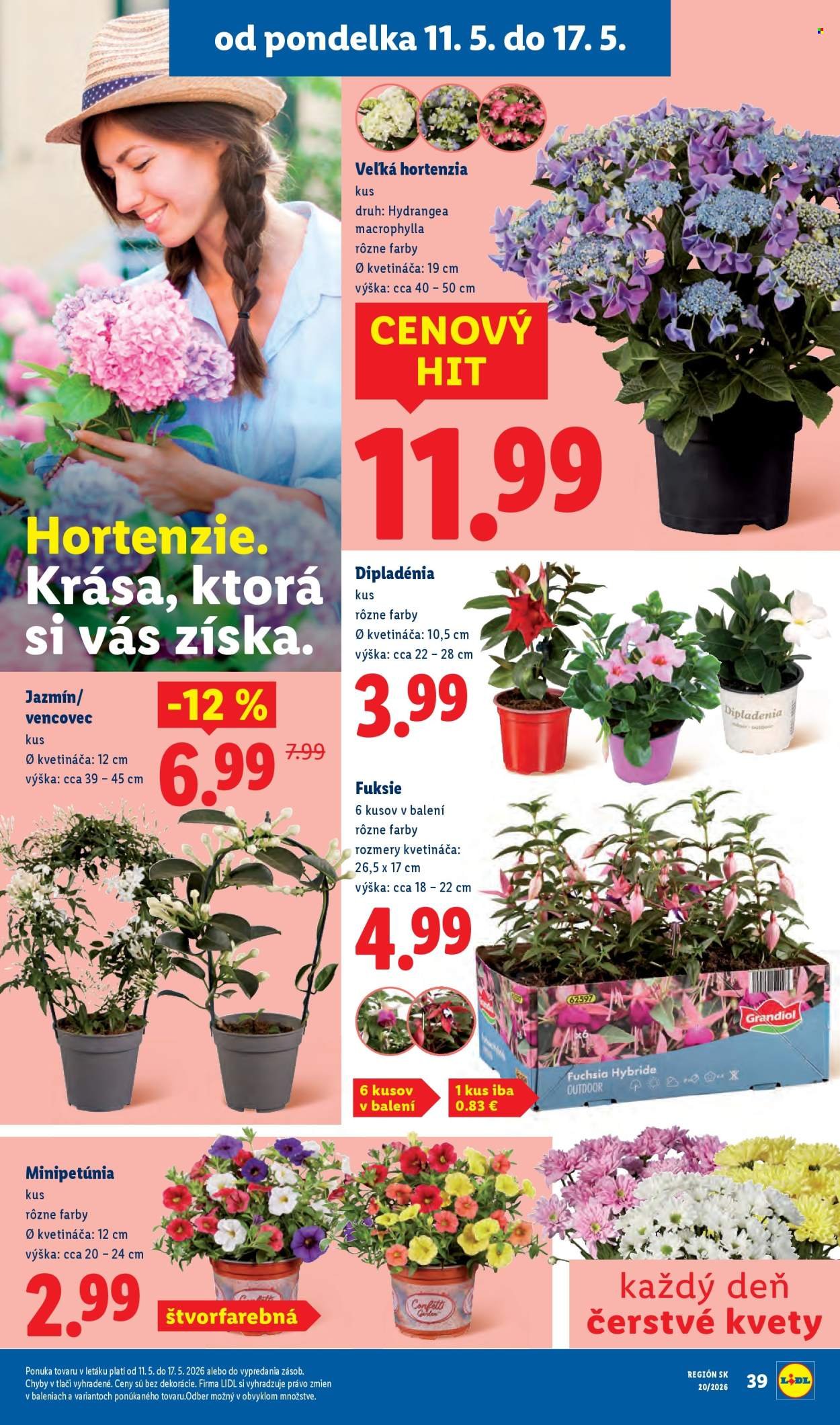 LIDL leták - Od pondelka 11.5.2026 (2026-05-11 - 2026-05-17) | 38