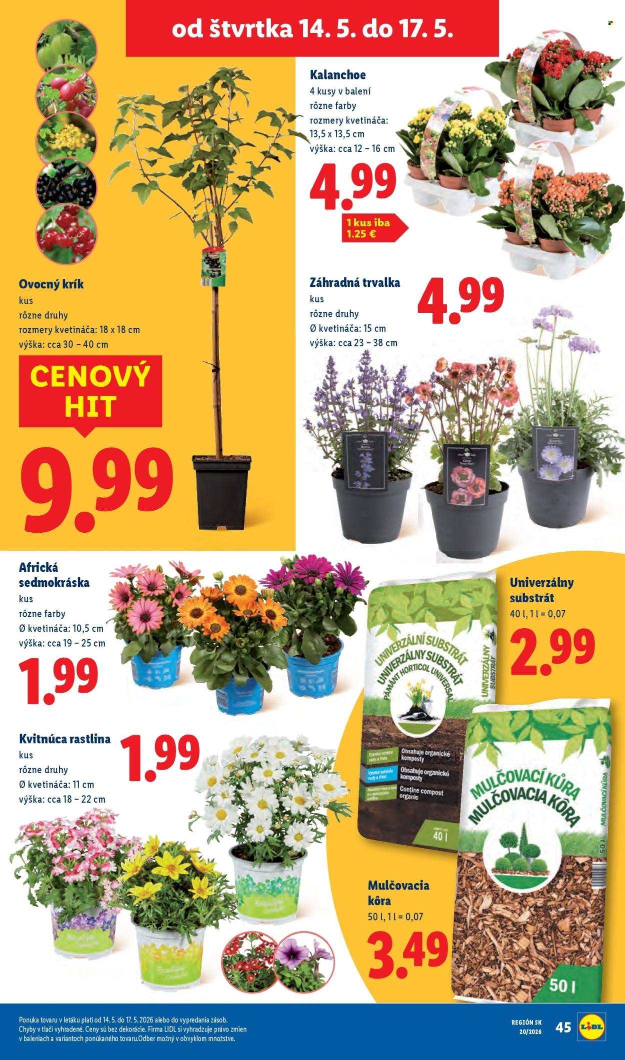 LIDL leták - Od pondelka 11.5.2026 (2026-05-11 - 2026-05-17) | 78