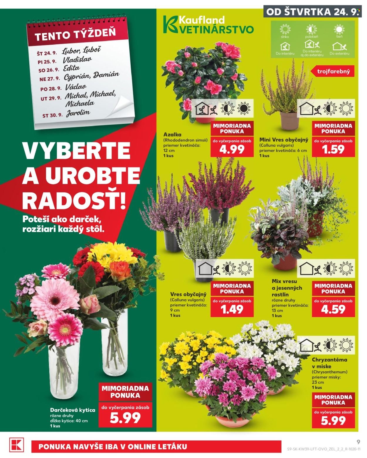 KAUFLAND leták - Od štvrtka 24.9.2026