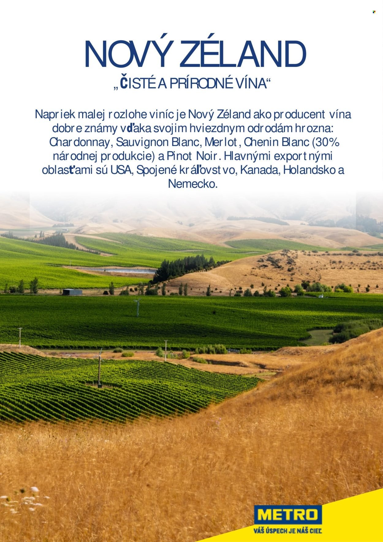 METRO leták - METRO sprievodca vínom (2025-10-15) | 31