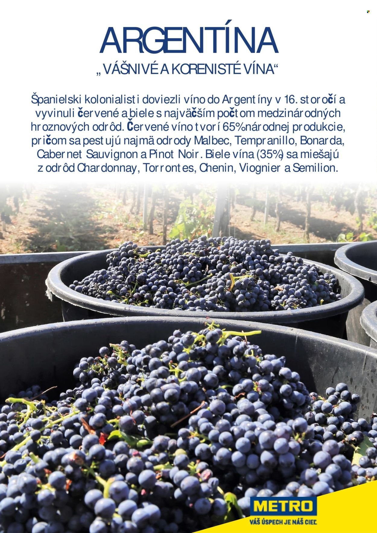 METRO leták - METRO sprievodca vínom (2025-10-15) | 37