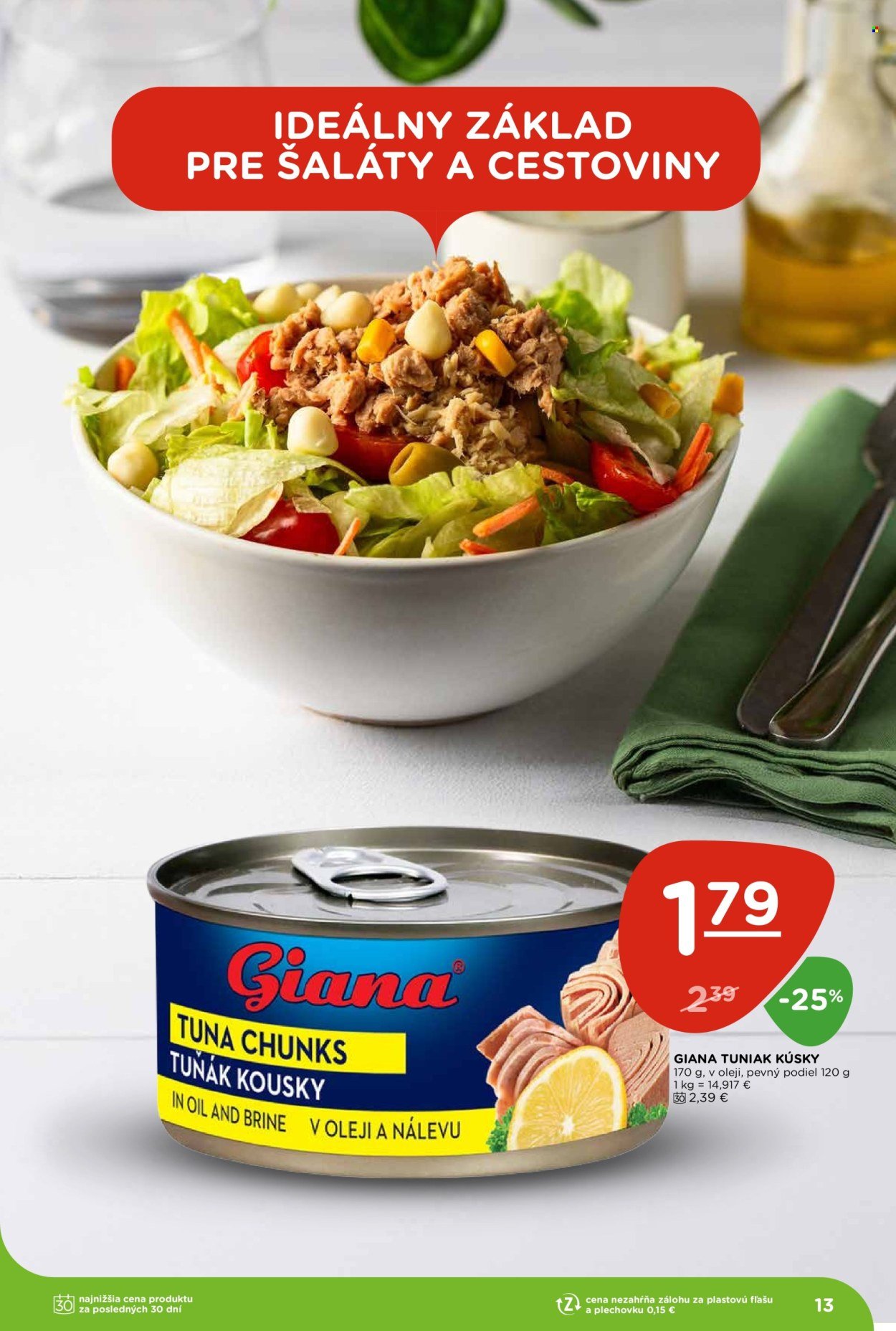 TERNO leták - Od štvrtka 8.1.2026 (2026-01-08 - 2026-01-14) | 13