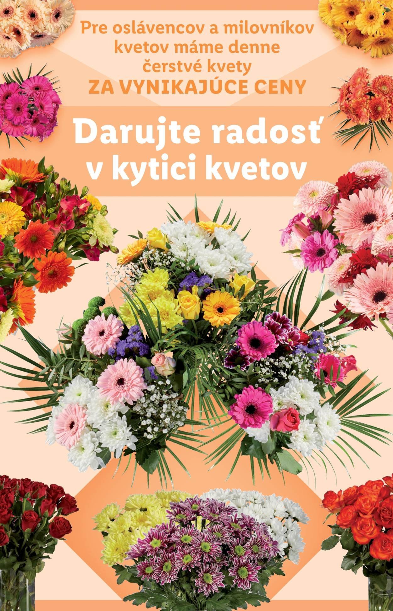 LIDL leták - Od štvrtka 30.10.2025 (2025-10-30 - 2025-11-02) | 78