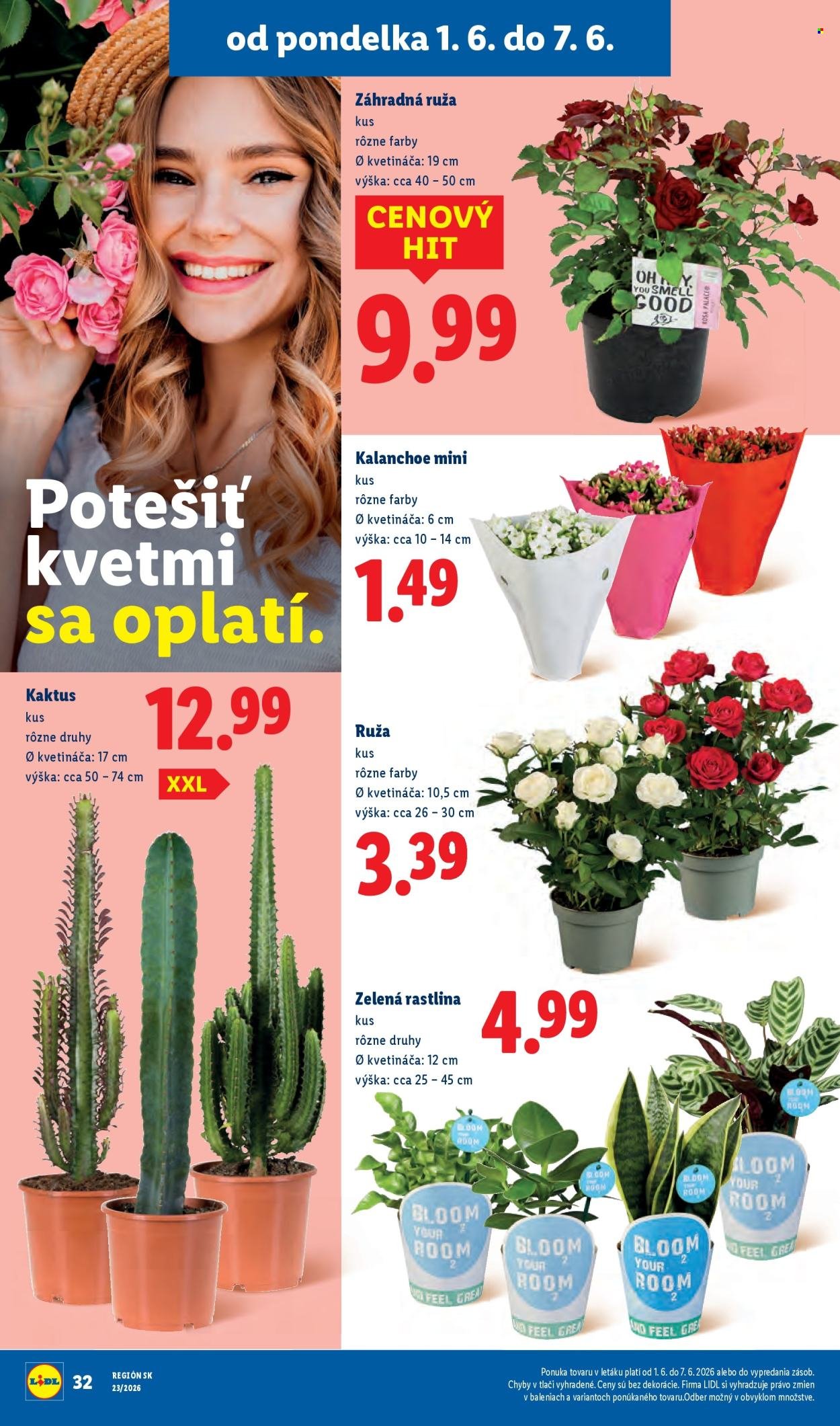 LIDL leták - Od pondelka 1.6.2026