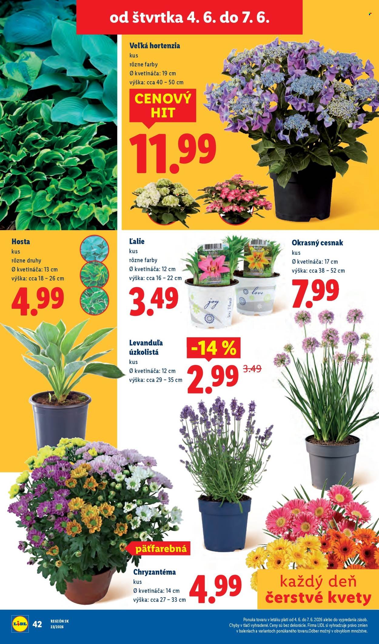 LIDL leták - Od pondelka 1.6.2026