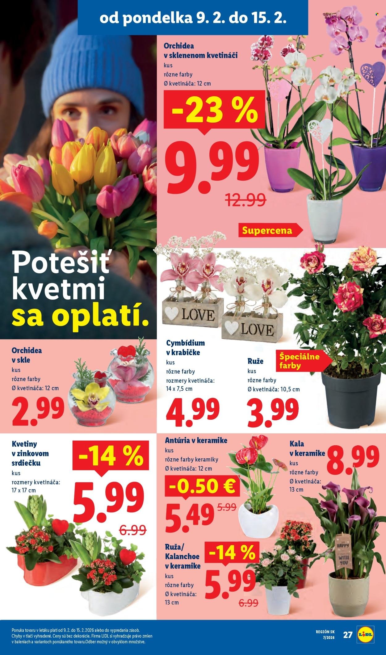 LIDL leták - Od štvrtka 12.2.2026 (2026-02-12 - 2026-02-15) | 79