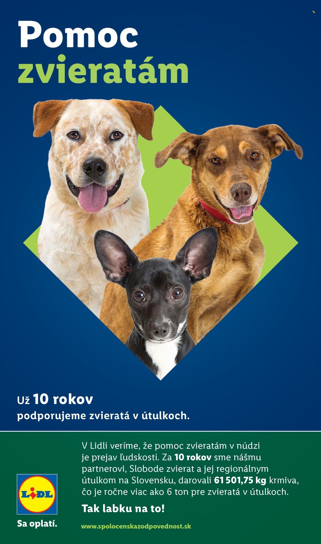 LIDL leták - Od štvrtka 29.1.2026 (2026-01-29 - 2026-02-01) | 42