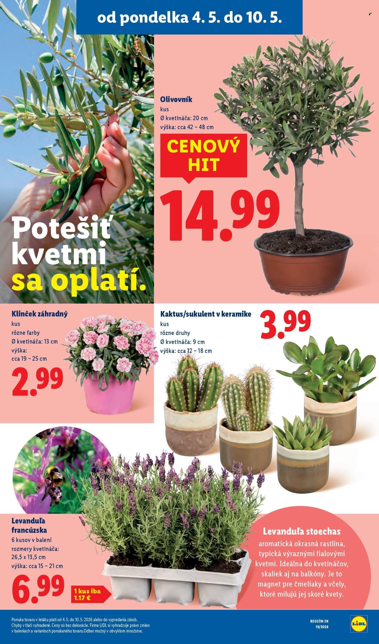 LIDL leták - Od pondelka 4.5.2026 (2026-05-04 - 2026-05-10) | 42