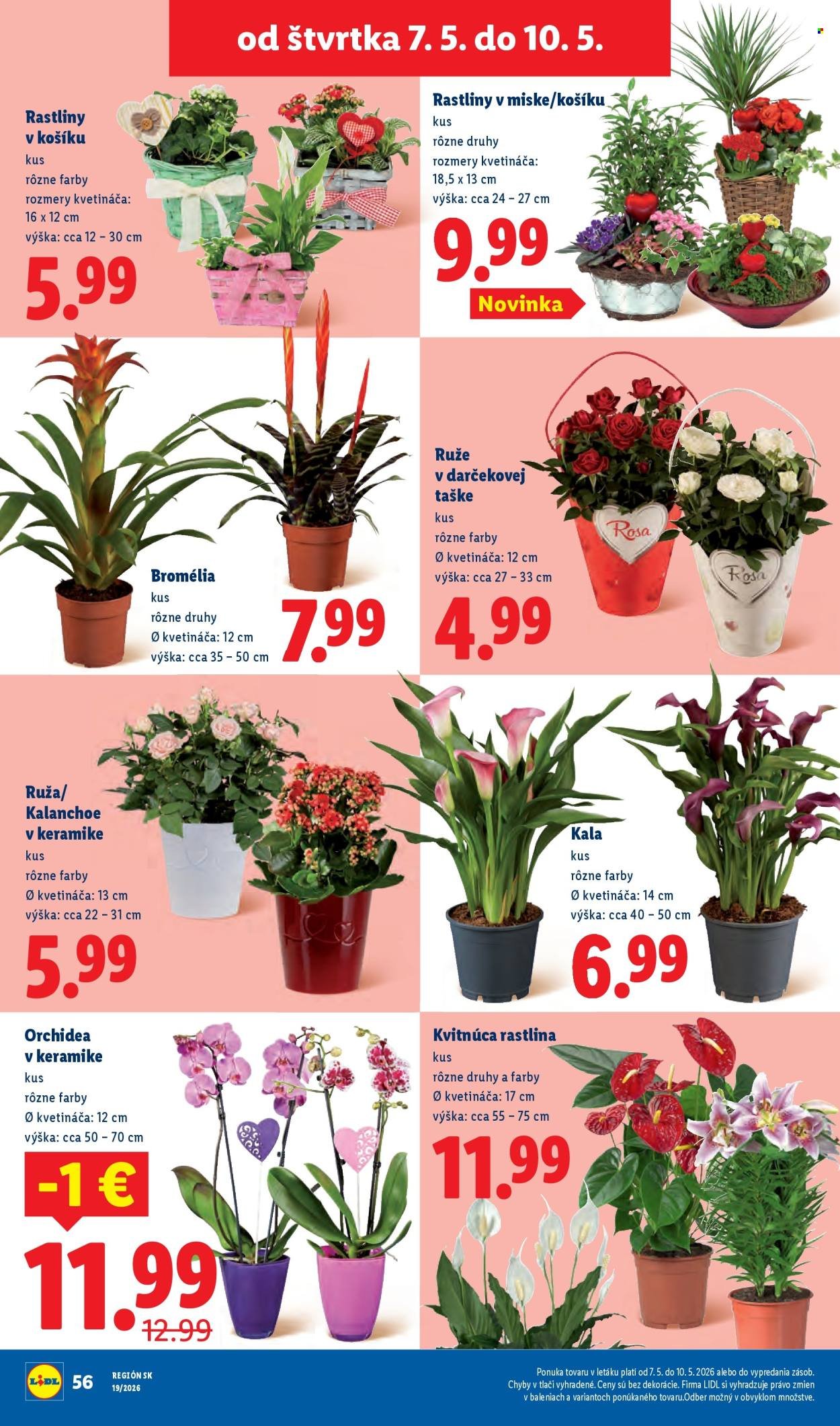 LIDL leták - Od pondelka 4.5.2026 (2026-05-04 - 2026-05-10) | 68
