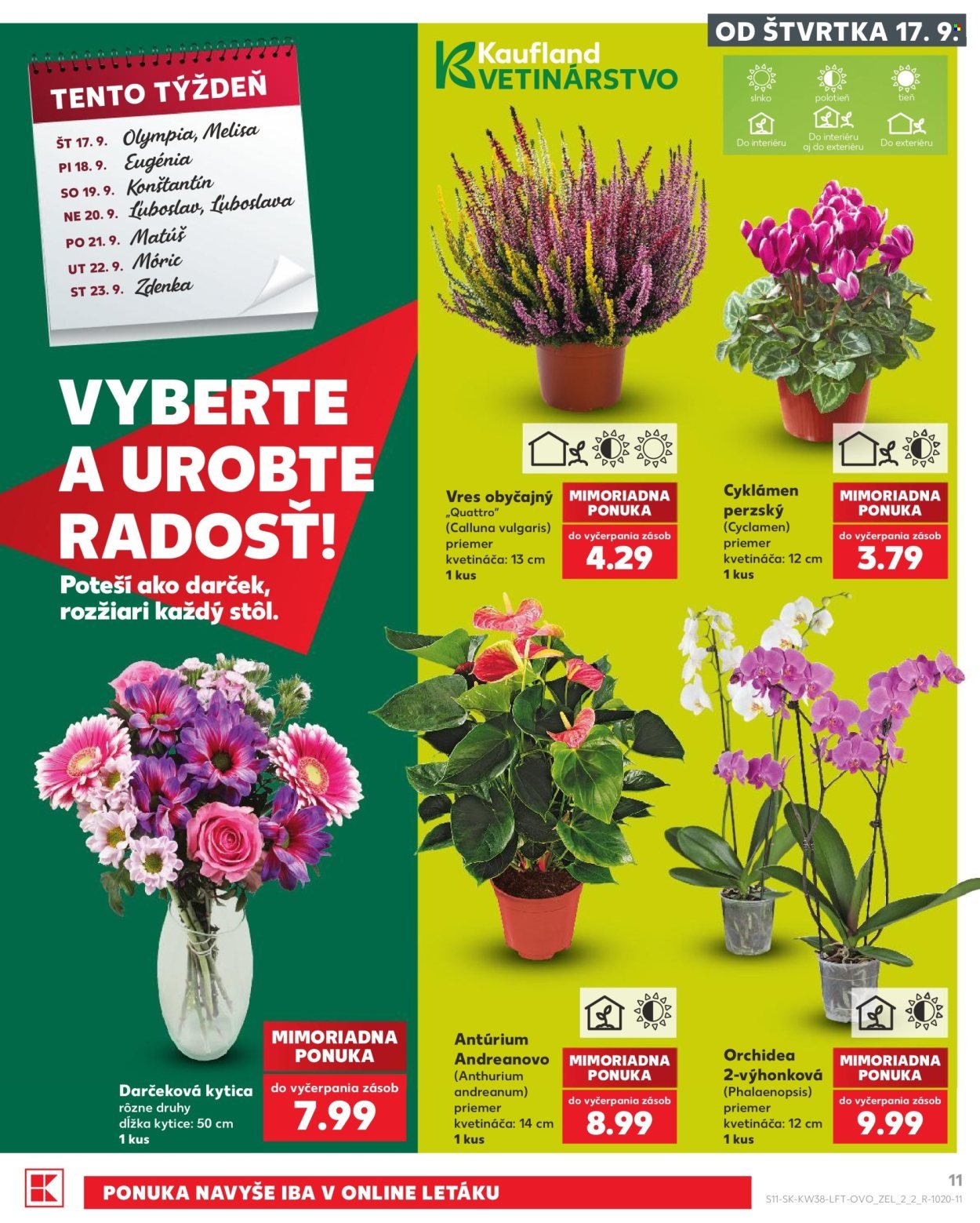 KAUFLAND leták - Od štvrtka 17.9.2026