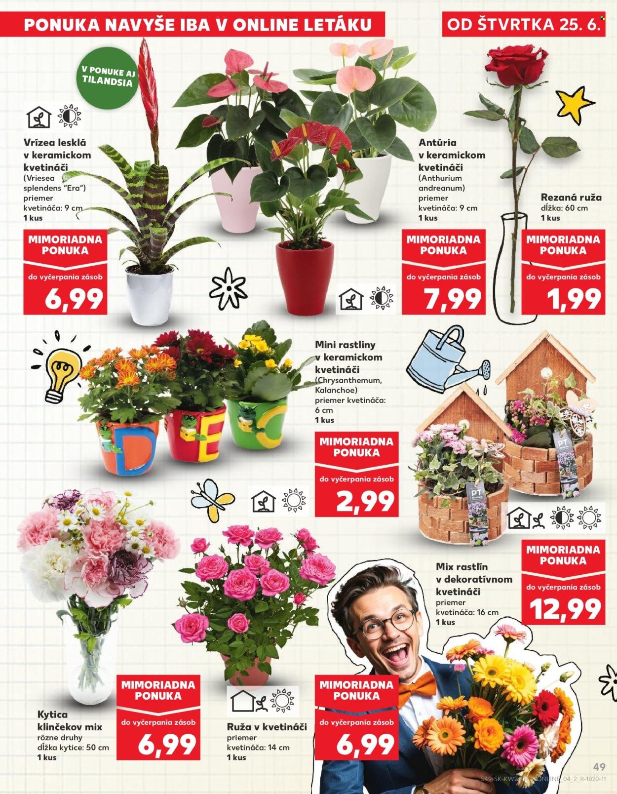 KAUFLAND leták - Od štvrtka 25.6.2026