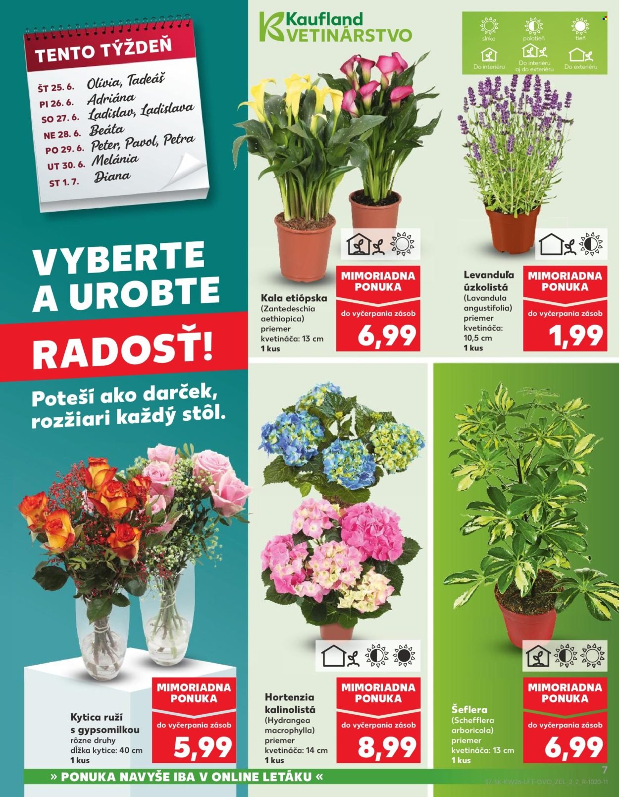 KAUFLAND leták - Od štvrtka 25.6.2026