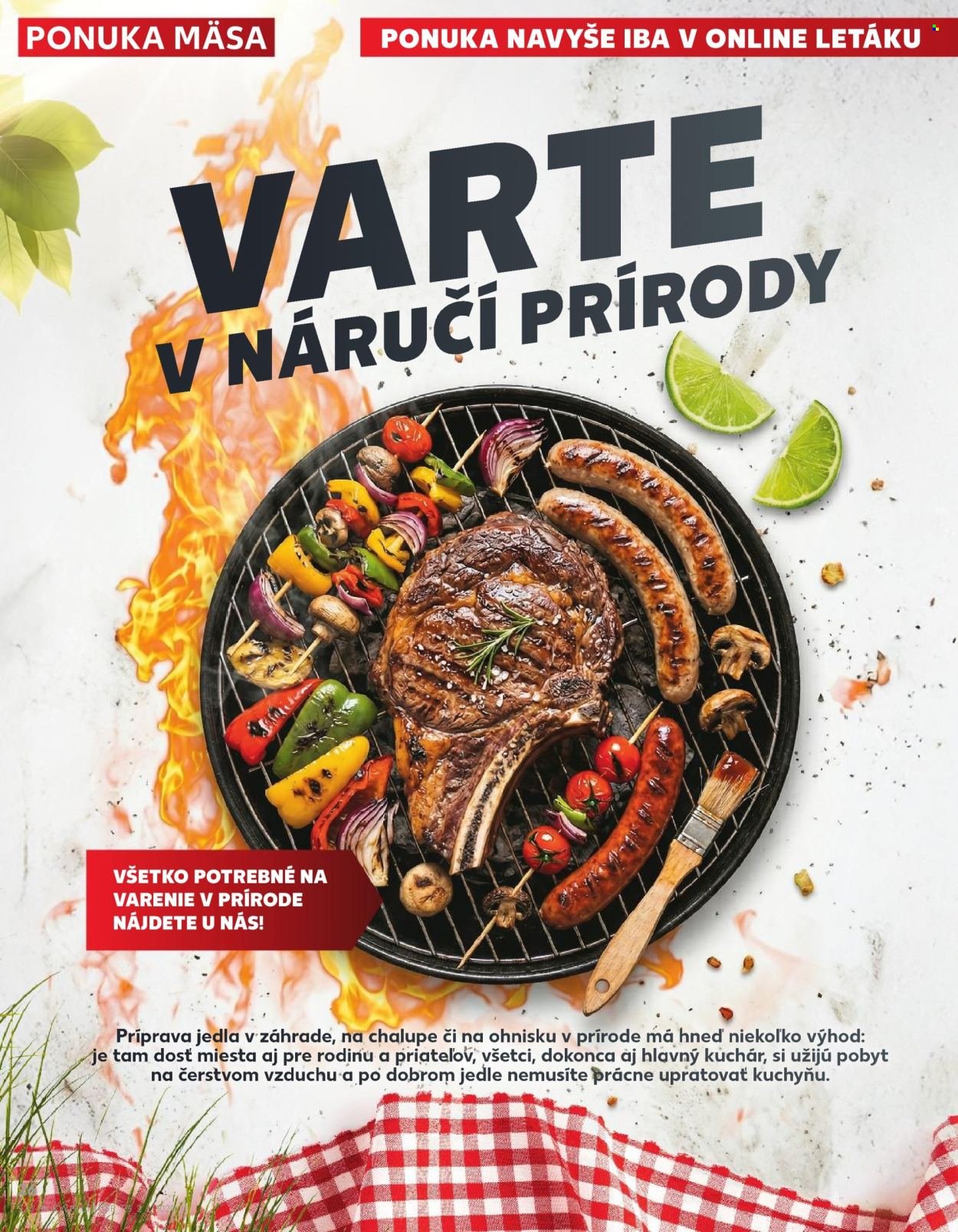 KAUFLAND leták - Od štvrtka 7.5.2026 (2026-05-07 - 2026-05-13) | 26