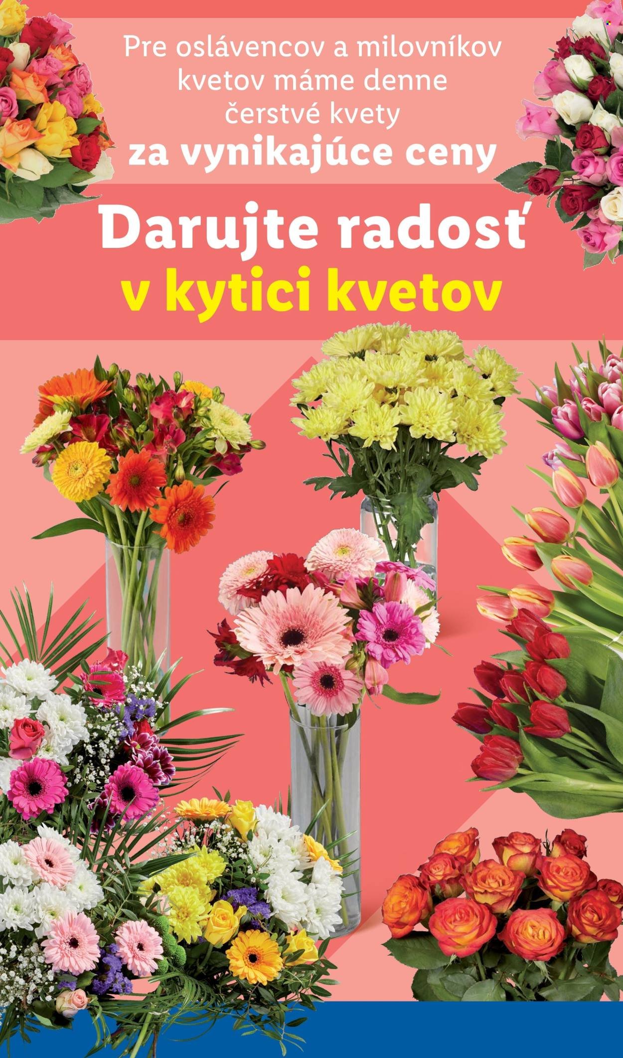 LIDL leták - Od štvrtka 13.11.2025 (2025-11-13 - 2025-11-16) | 34