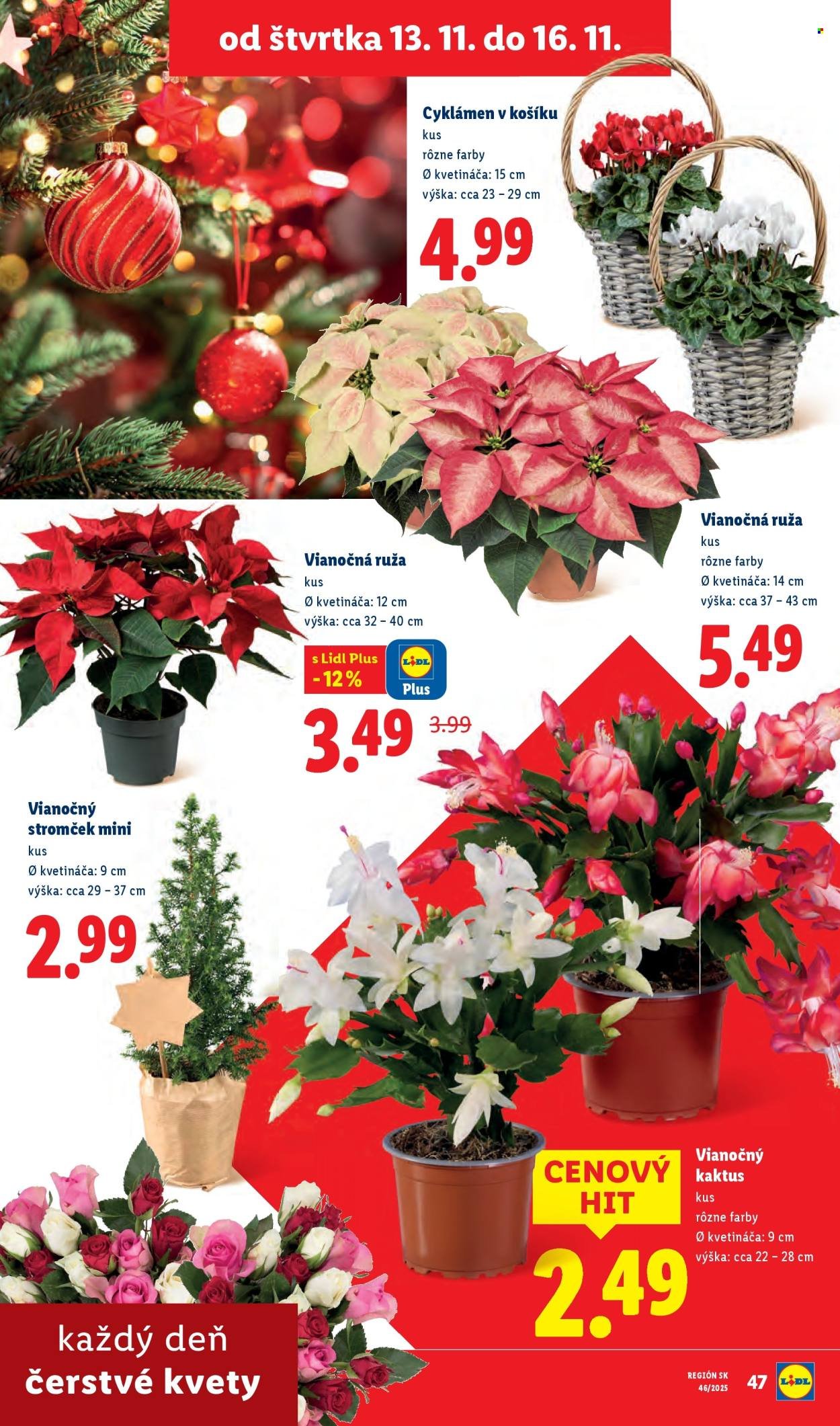 LIDL leták - Od štvrtka 13.11.2025 (2025-11-13 - 2025-11-16) | 35