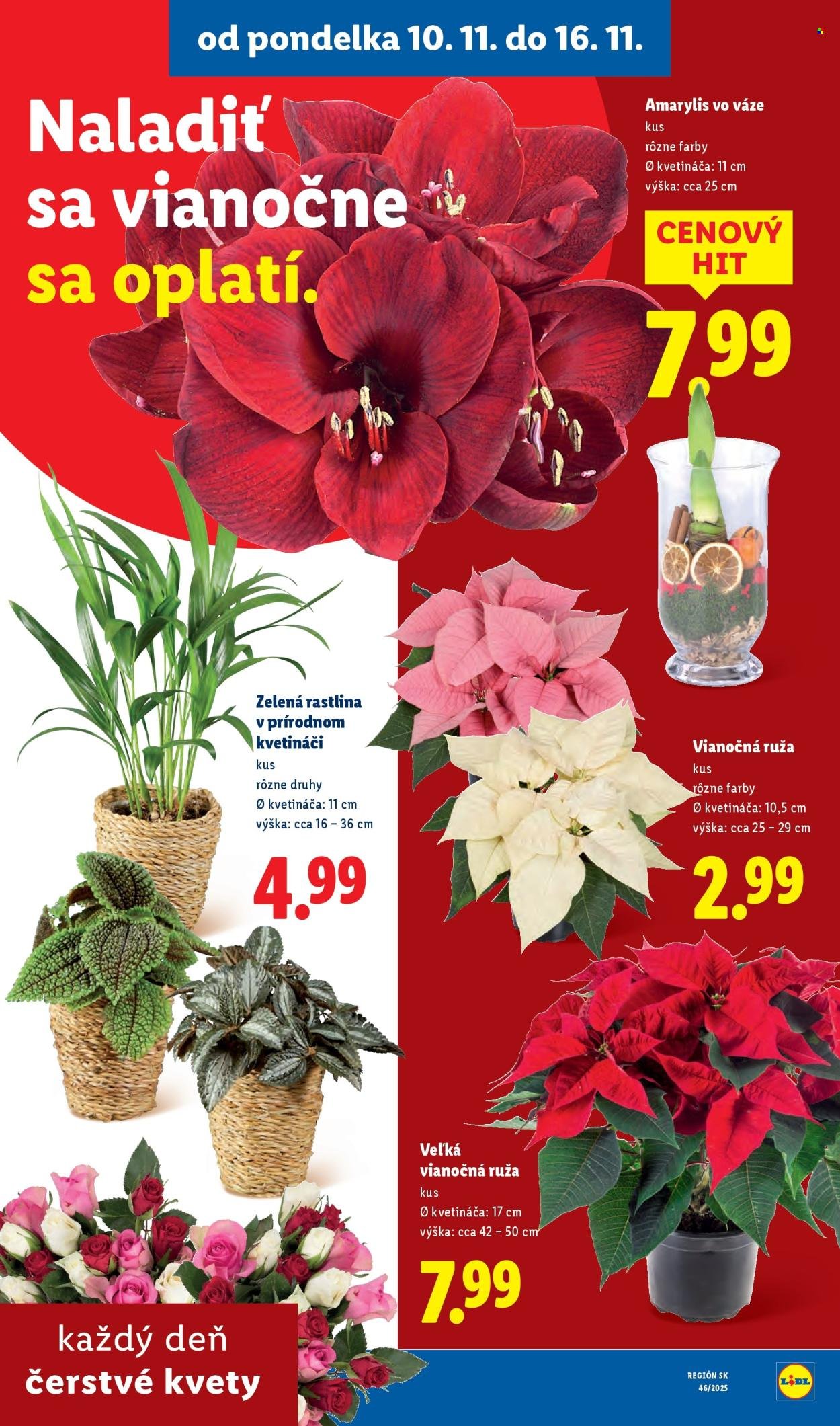 LIDL leták - Od štvrtka 13.11.2025 (2025-11-13 - 2025-11-16) | 87