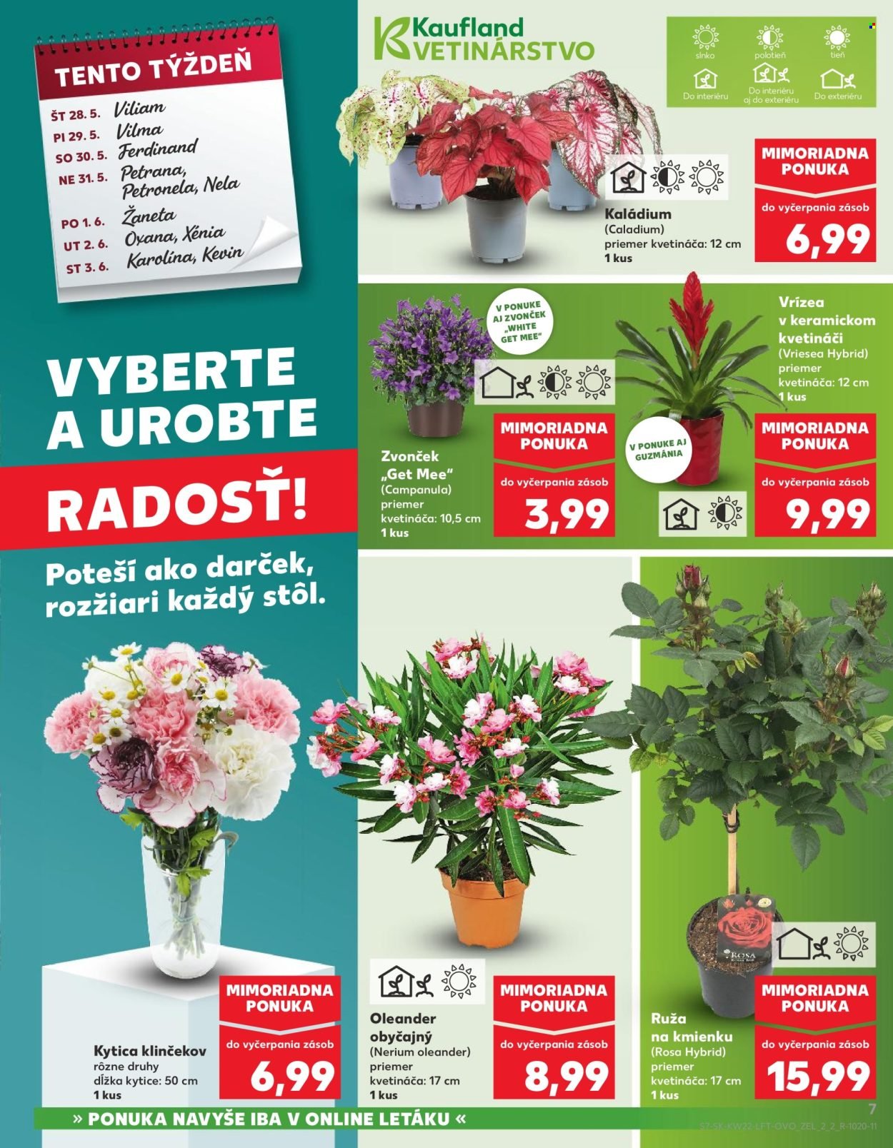 KAUFLAND leták - Od štvrtka 28.5.2026 (2026-05-28 - 2026-06-03) | 7