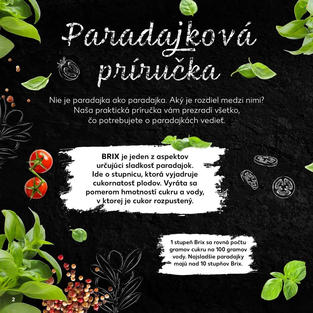 KAUFLAND leták - Sprievodca svetom paradajok (2024-11-21) | 2