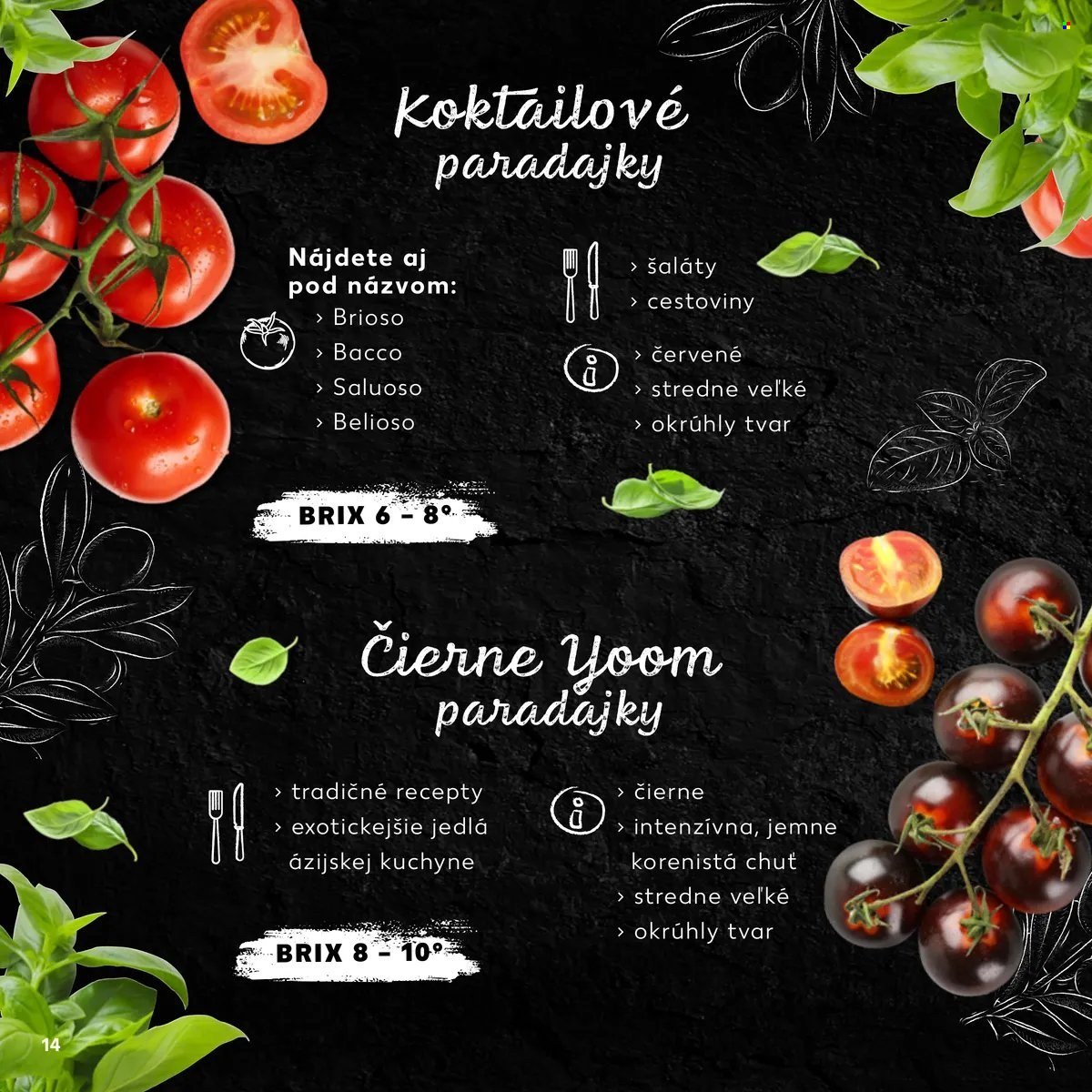 KAUFLAND leták - Sprievodca svetom paradajok (2024-11-21) | 14