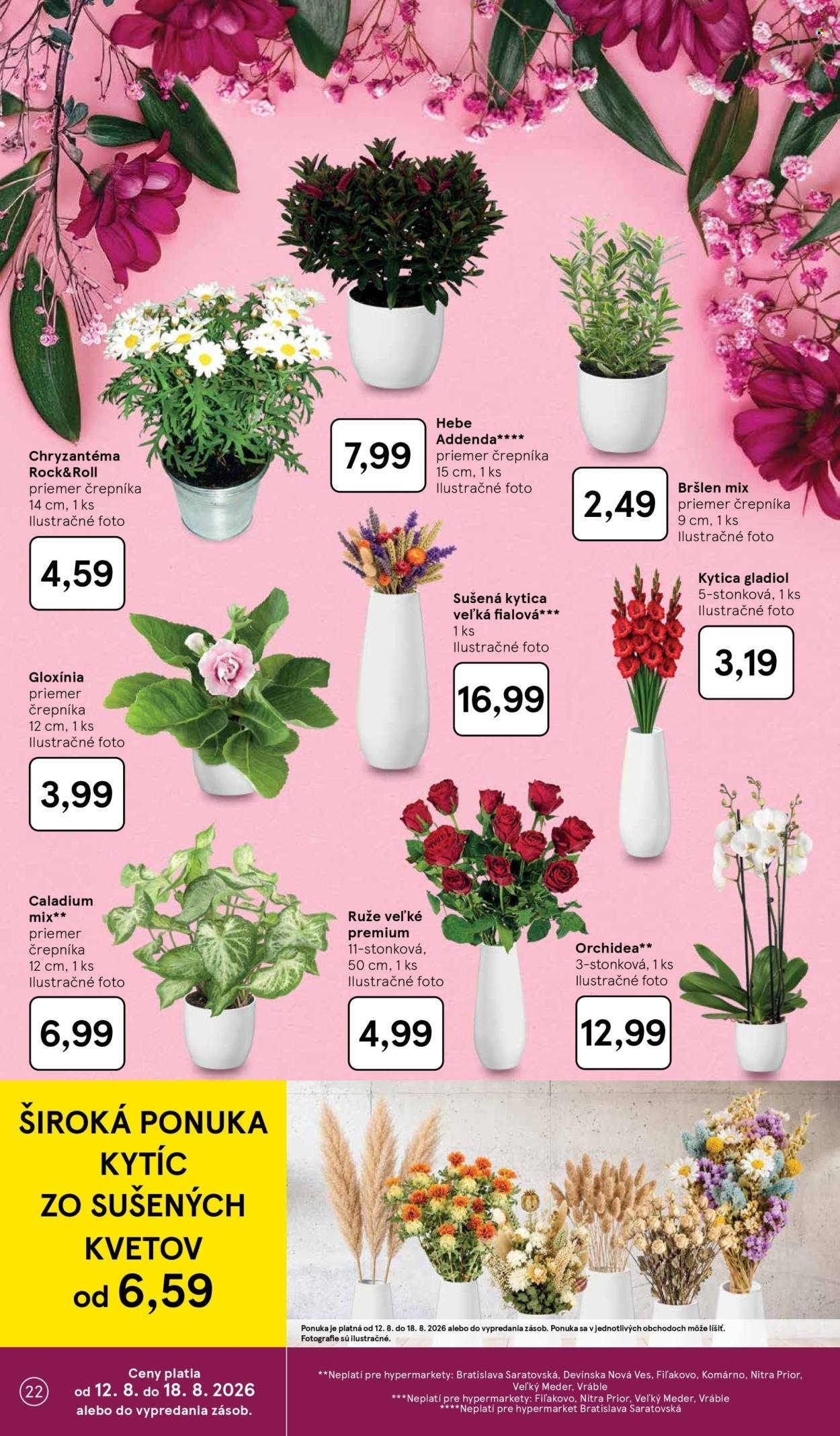 TESCO leták - Od stredy 12.8.2026