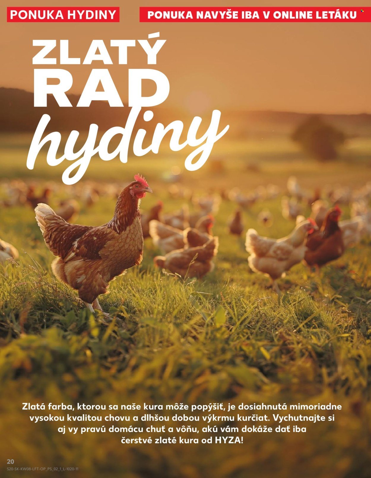 KAUFLAND leták - Od štvrtka 19.2.2026 (2026-02-19 - 2026-02-25) | 20