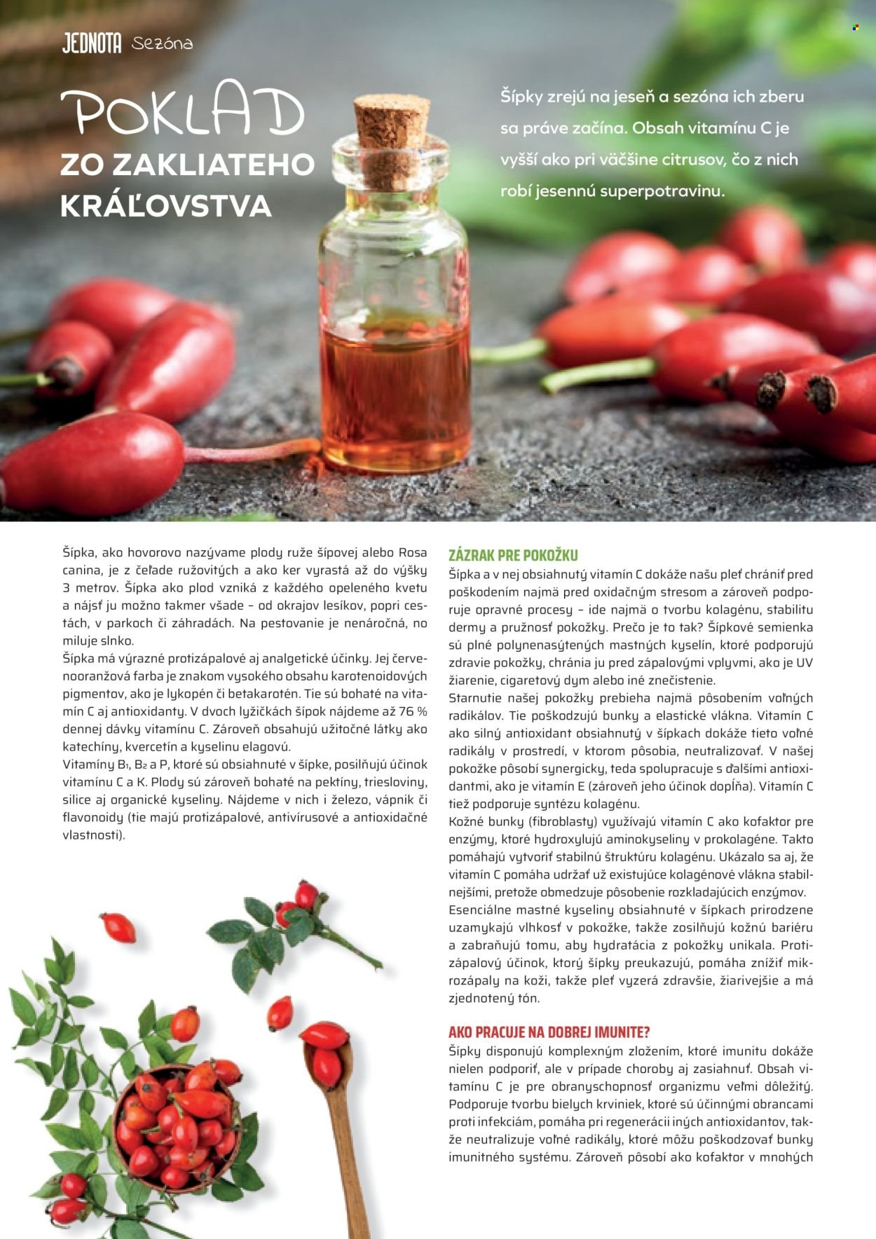 COOP JEDNOTA leták - Časopis Jednota 11/2025 (2025-11-01 - 2025-11-30) | 6